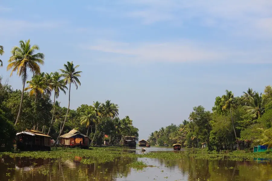 Palm-fringed backwater canal in Alappuzha with a country boat and still reflections