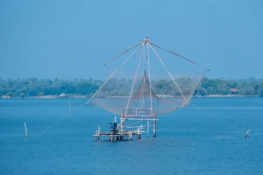 A cantilevered Chinese fishing net over calm water at Fort Kochi, Kerala