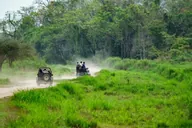 Off-road trail winding through dense lush green forest on a Kerala road trip