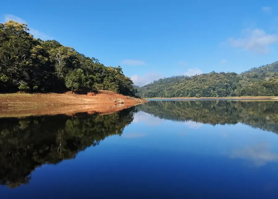 Still forest-fringed waters of Periyar lake in Thekkady, Kerala