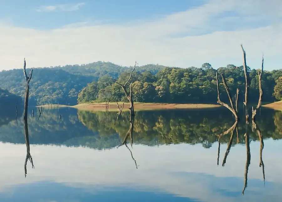 Thekkady Periyar lake Kerala, elephant in water, spice forest, mist, wildlife reserve