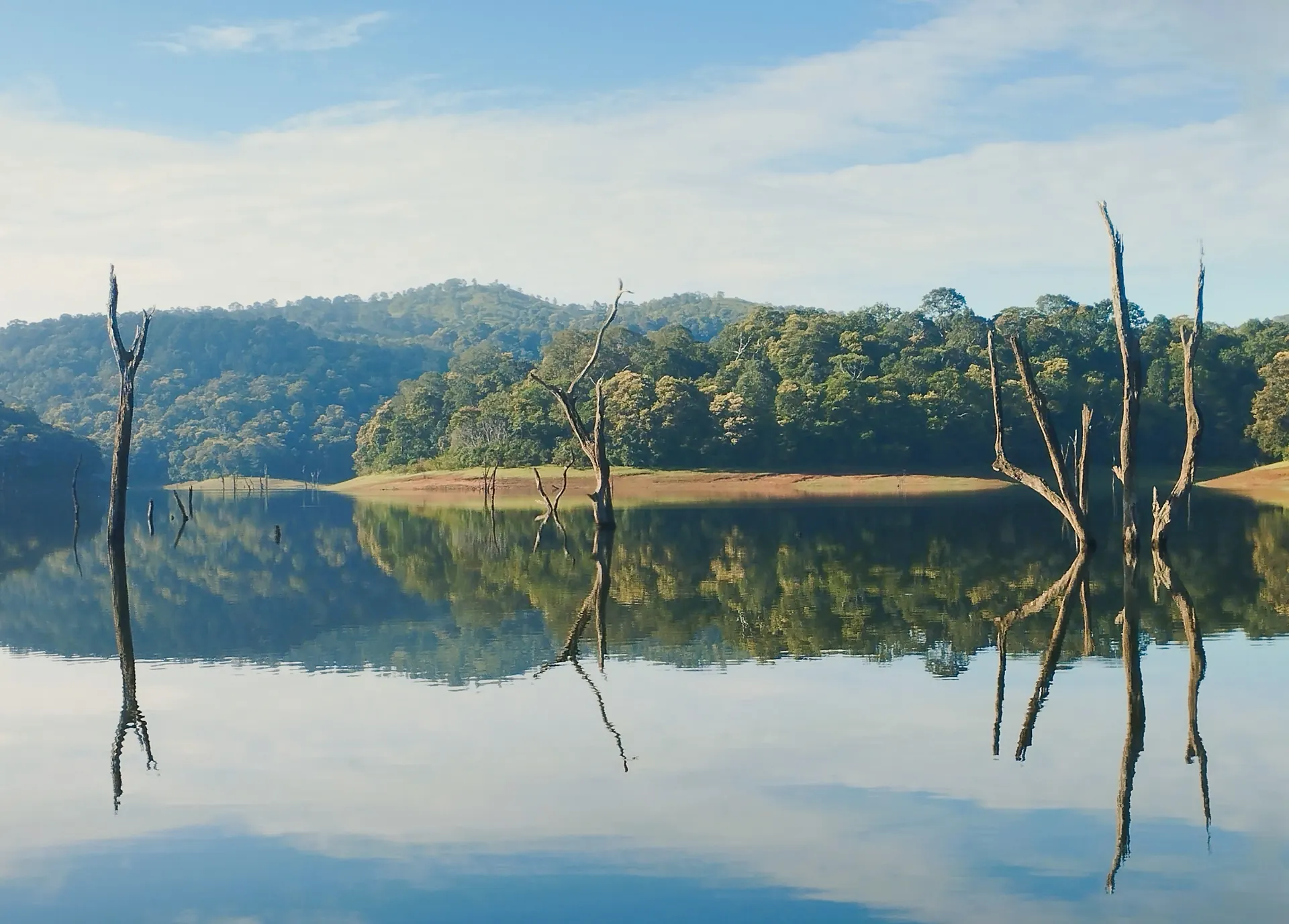 Still waters of Periyar lake ringed by forest in Thekkady, Kerala wildlife reserve